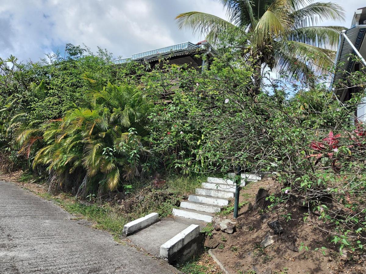 Les Gites Du Domaine De Petite-Anse Bouillante Exterior foto