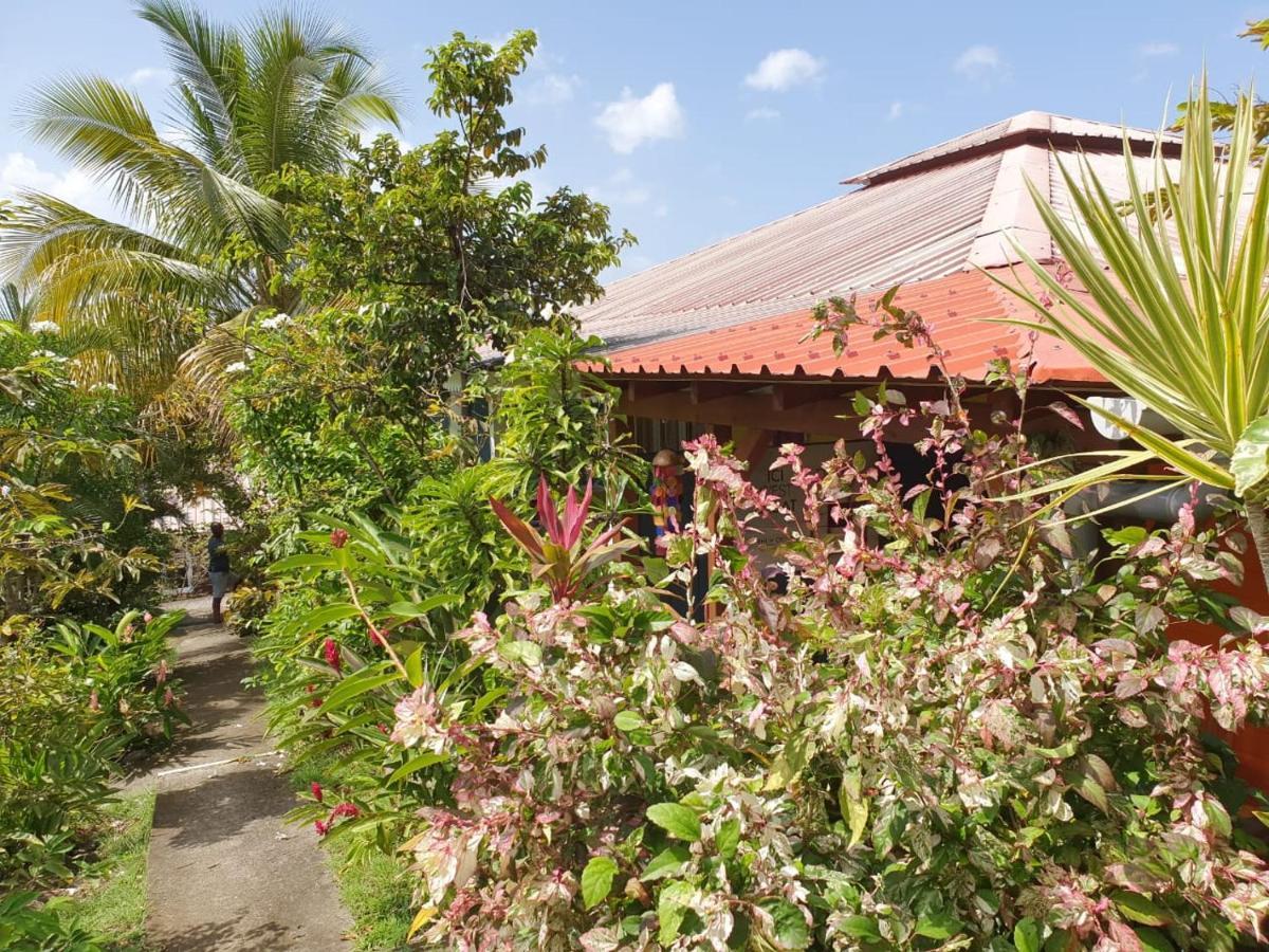 Les Gites Du Domaine De Petite-Anse Bouillante Exterior foto